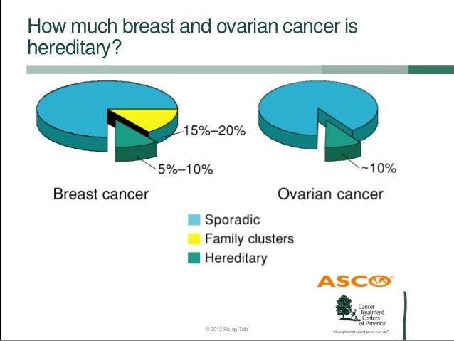 genetics of breast and ovarian cancer Genetics of breast and ovarian cancer